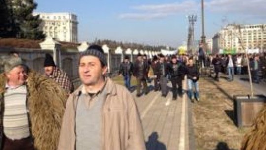 Ciobanii, îngrijoraţi de scăderea vânzărilor de miei