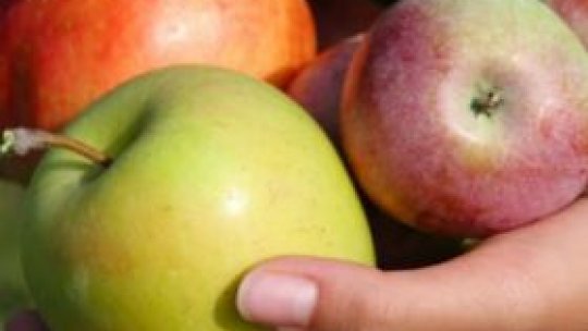 Programul gratuit de distribuire a fructelor în şcoli continuă