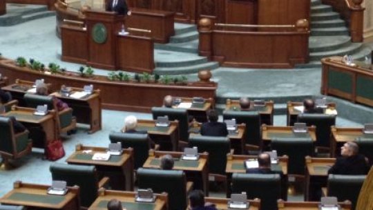 Senatorii au decis: Guvernul poate emite ordonanţe în timpul vacanţei parlamentare 