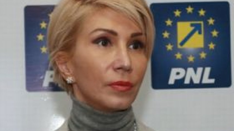 PNL vrea modificarea Legii răspunderii ministeriale şi a Constituţiei