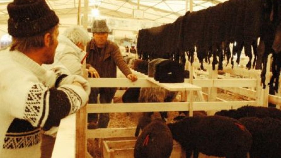 Au fost distribuite peste 80% din subvenţiile pentru fermieri