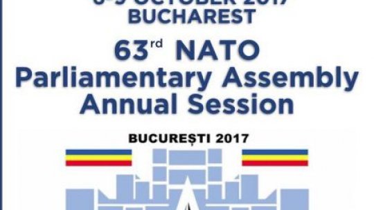 Lucrări în Comisiile de specialitate, la Adunarea Parlamentară NATO de la București