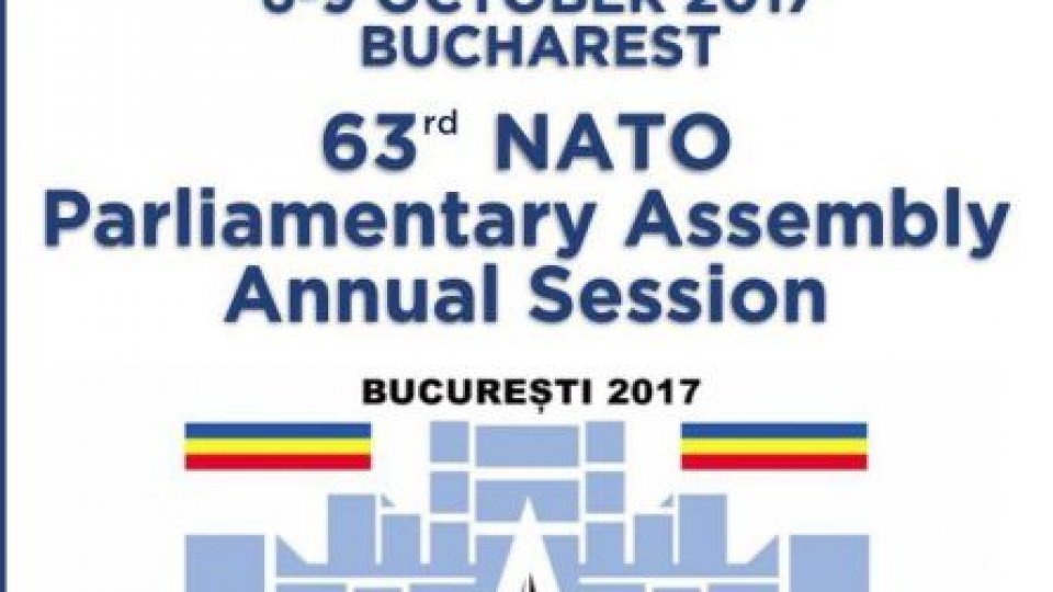 Lucrări în Comisiile de specialitate, la Adunarea Parlamentară NATO de la București