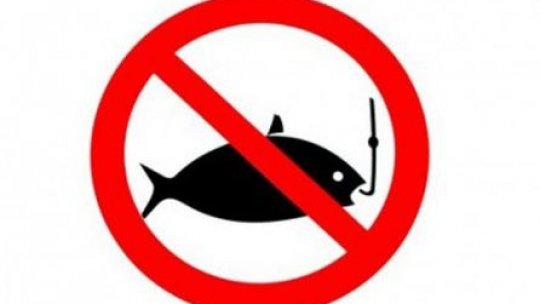 Pescuitul interzis în apele teritoriale şi de frontieră pentru două luni