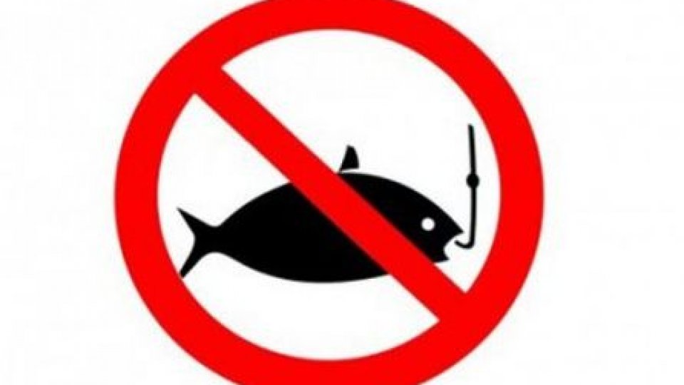 Pescuitul interzis în apele teritoriale şi de frontieră pentru două luni