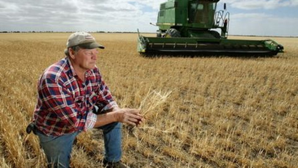 De azi se pot depune proiecte de investiţii finanţate prin Programul Naţional de Dezvoltare Rurală