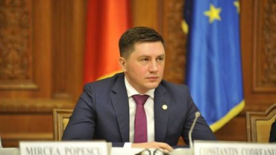 Cazul Cameliei Smicală, în atenţia preşedintelui Comisiei pentru românii din afara graniţelor