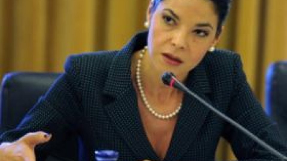 Interviu cu Ana Birchal, ministrul delegat pentru afaceri europene