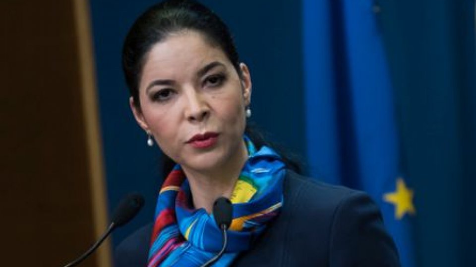 Ministrul Ana Birchall, discuţii despre preluarea de către România a preşedinţiei Consiliului UE