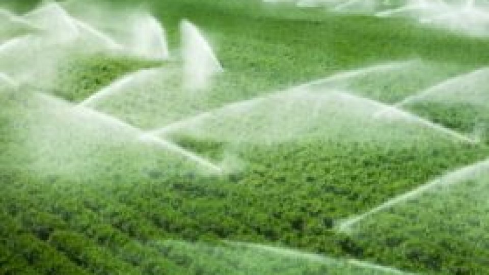 TVA ar putea fi redusă pentru mai multe lucrări şi servicii agricole