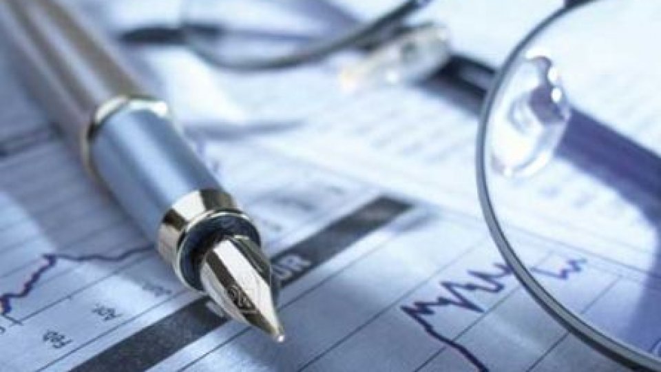Guvernul a aprobat noul formular fiscal