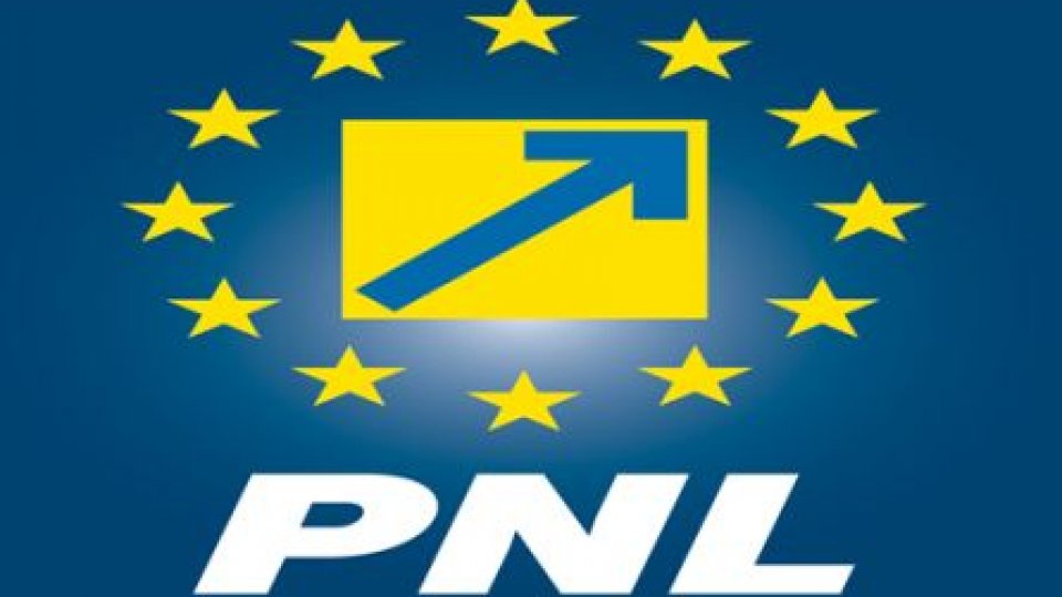 PNL va participa pe liste proprii la alegerile europarlamentare 