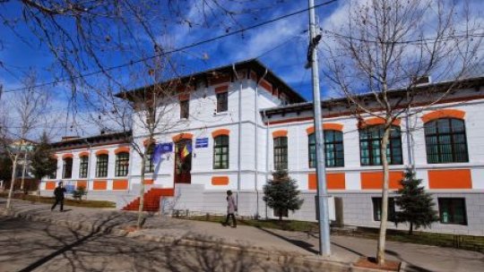 10 secții de votare în plus în Vaslui