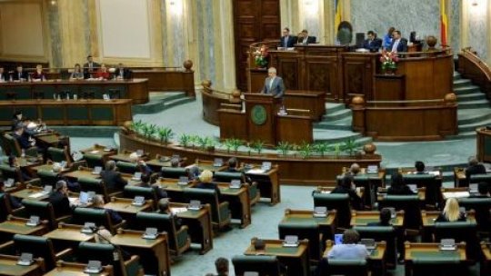 Moţiunea simplă împotriva ministrului Economiei, respinsă în Senat