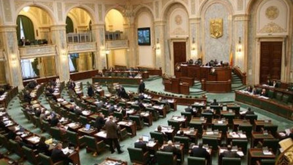 Senatul reclamă existenţa unui conflict juridic între Parlament şi Executiv privind moţiunea 