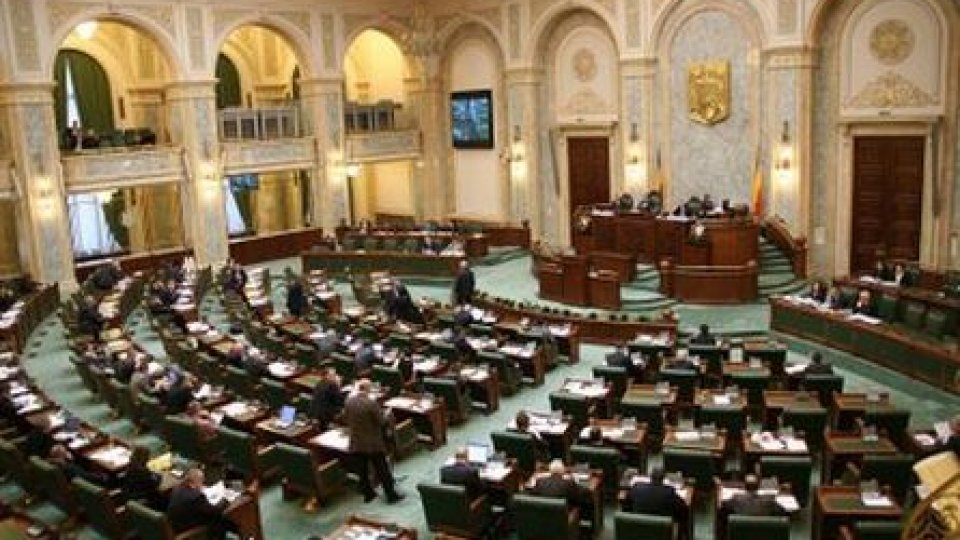 Senatul reclamă existenţa unui conflict juridic între Parlament şi Executiv privind moţiunea