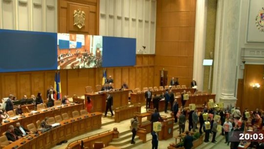 Plenul Parlamentului dezbate bugetul pe articole