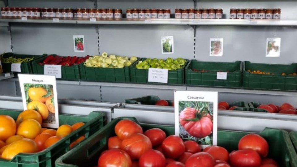 Cotele de adaos comercial pentru lactate, carne, legume şi fructe se limitează pentru trei luni