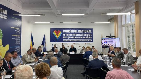 Modificările de impozite care vizează microîntreprinderile intră în vigoare de la 1 ianuarie