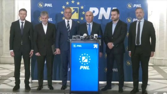 PNL și UDMR își exprimă public susținerea pentru Elena Lasconi