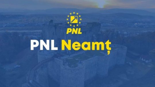 Preşedintele filialei PNL Neamţ a fost trimis în judecată pentru trafic de influenţă