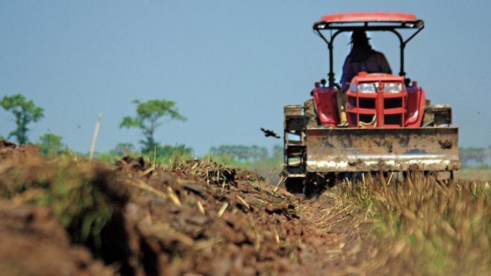 Primul set de măsuri pentru fermierii afectaţi de secetă
