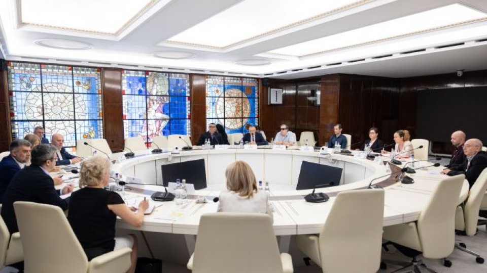 Guvernul începe consultări pentru o lege specială a pensiilor destinată persoanelor cu dizabilităţi