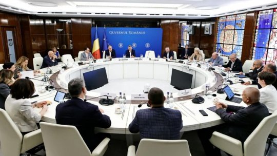 România are nevoie de infuzie de capital şi de o coordonare mai eficientă între stat şi mediul privat