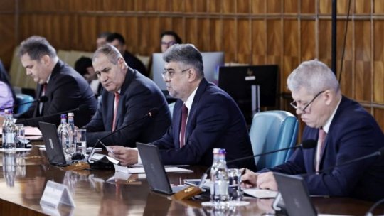 Guvernul va stabili oficial data alegerilor prezidenţiale