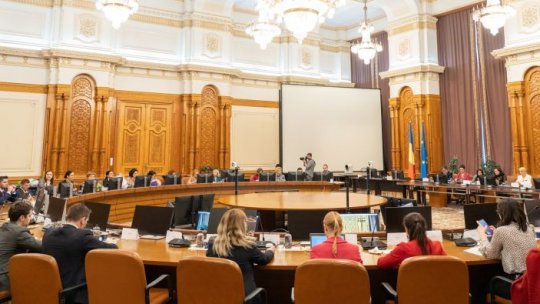 Ordonanţa privind organizarea alegerilor prezidenţiale intră în Comisia pentru administraţie din Senat