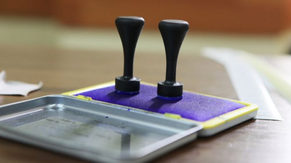 Lavinia Şandru vrea ca pensiile speciale să fie eliminate acum