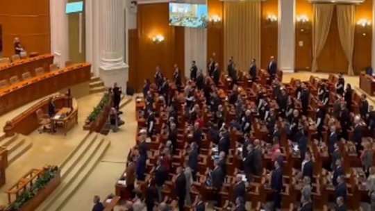 Guvernul a fost abilitat să emită emită ordonanţe în perioada vacanţei parlamentare