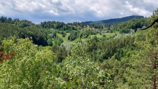 Cererea de reexaminare a președintelui privind ariile naturale protejate, respinsă de comisiile parlamentare
