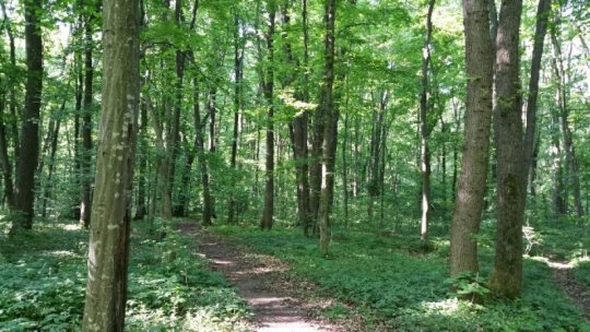 Strategia Naţională pentru Biodiversitate, prinsă în dispute politice. Proiectul revine la Senat