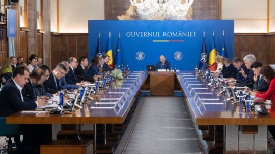 Guvernul analizează limitarea consumului de electricitate pentru marile unităţi industriale