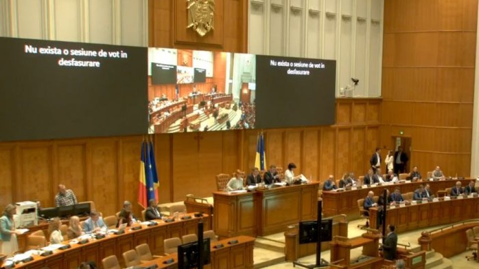 Propunerile legislative ale PSD, dezbătute în Parlament. PNL şi USR s-au abţinut de la vot