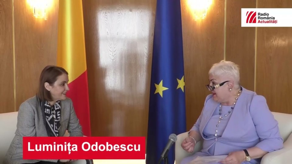 Luminița Odobescu:  Organizarea alegerilor în străinătate este o prioritate pentru Ministerul de Externe