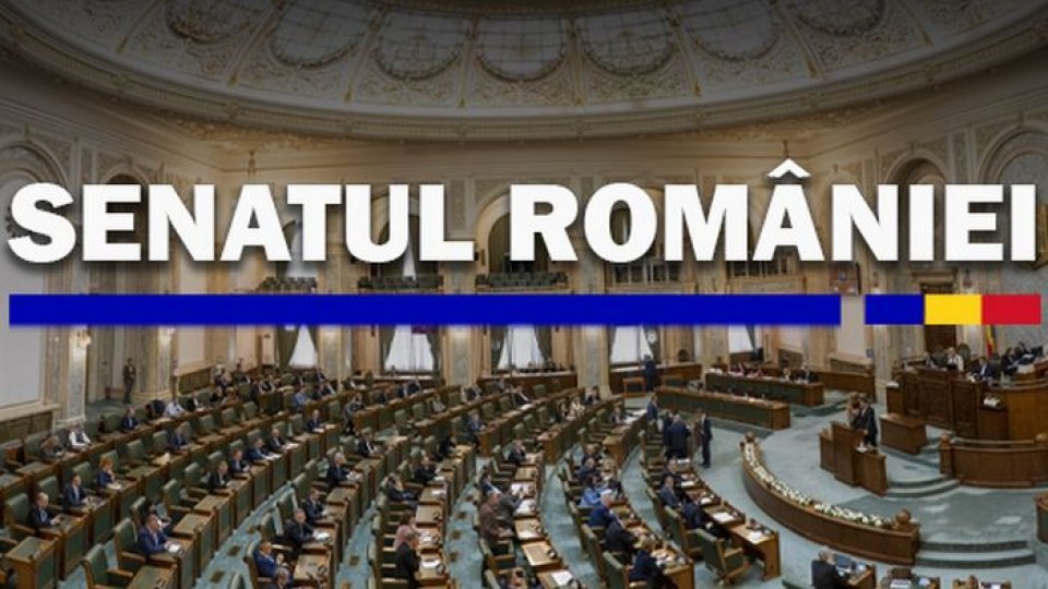 Propunerea legislativă privind modificarea unor acte normative din domeniul pensiilor de serviciu, respinsă de Senat