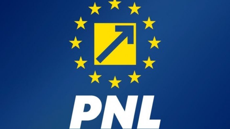 Opinii pro şi contra în PNL faţă de demersul lui Adrian Veştea