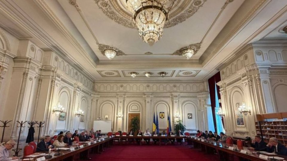 Ilie Bolojan și Simina Tănăsescu nu s-au prezentat la audierile din Comisia pentru constituționalitate